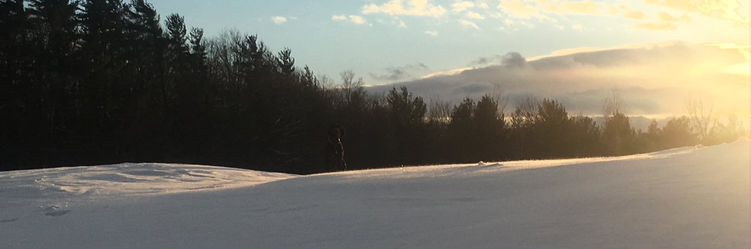 bluejunebears's profile banner image