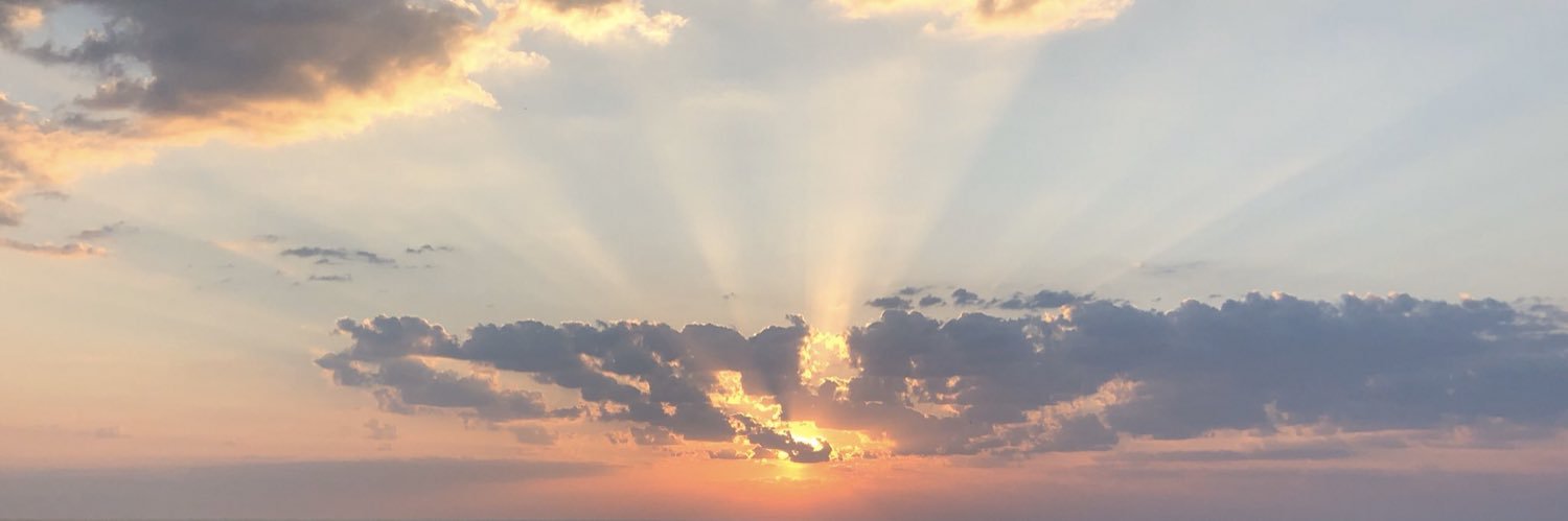 thompsonbree2's profile banner image