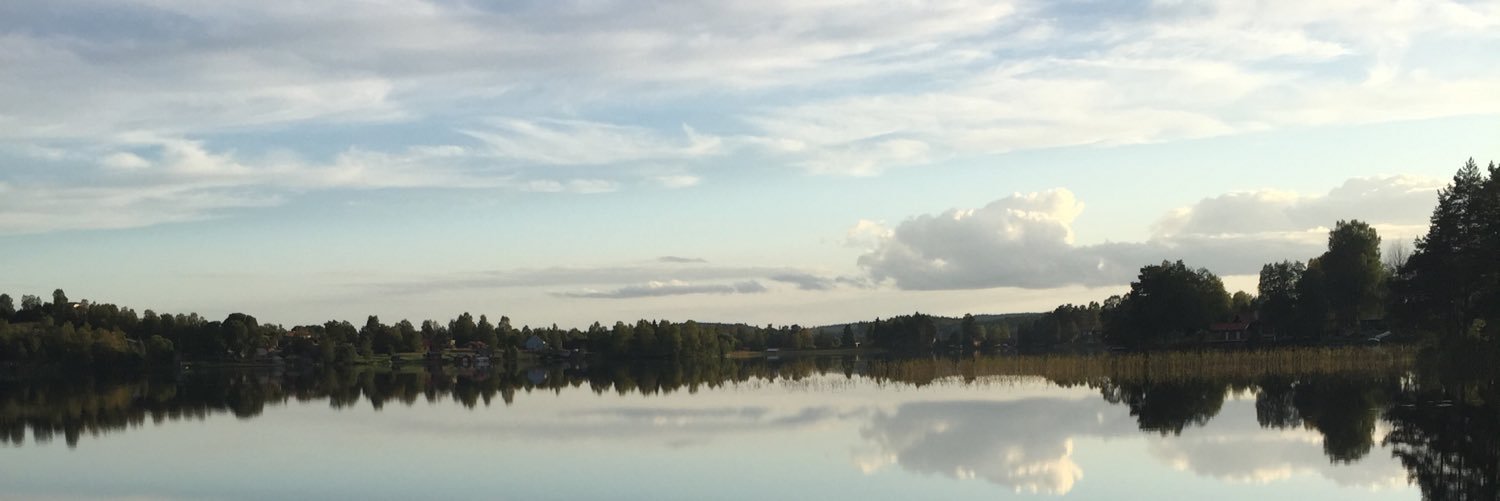 sarahborjesson's profile banner image