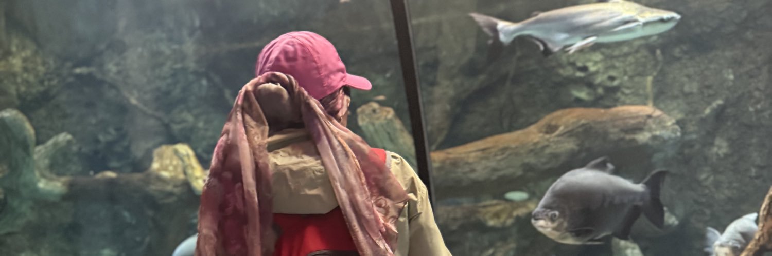 Rboob2's profile banner image