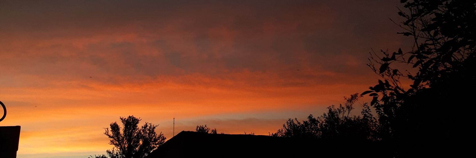 Morevivas1's profile banner image