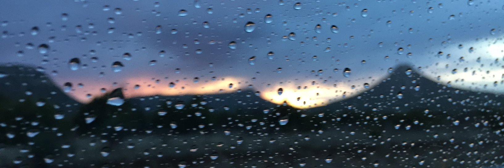 DayBack Status banner