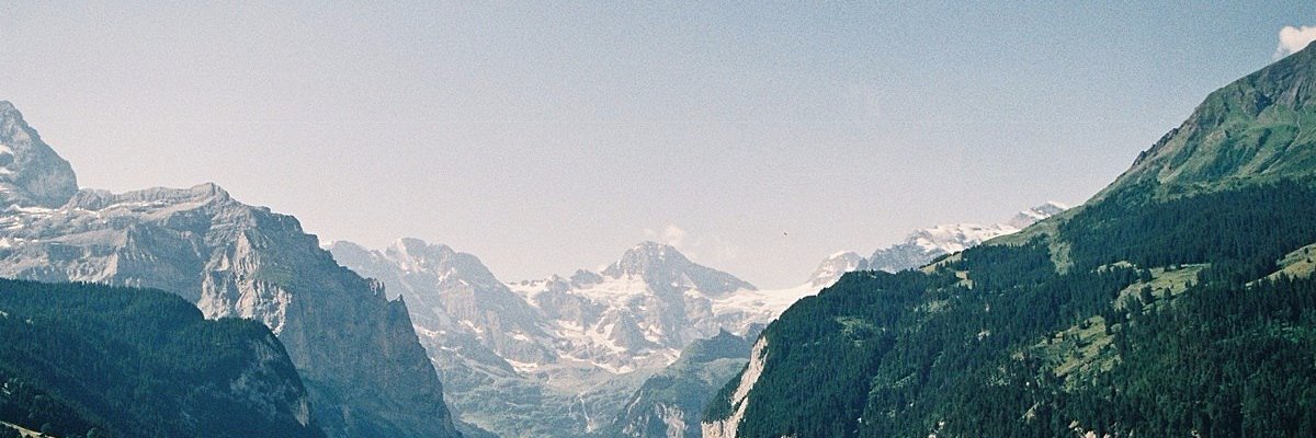 nuwandarenton's profile banner image