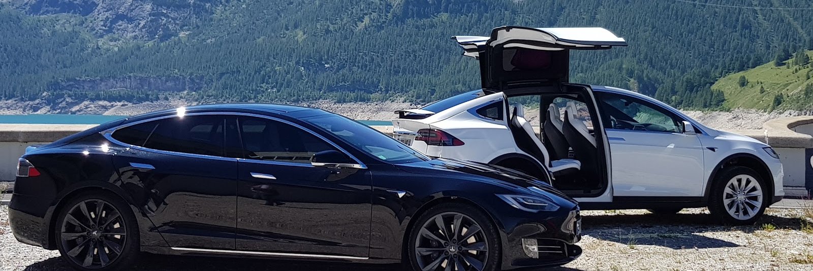 driveatesla's profile banner image