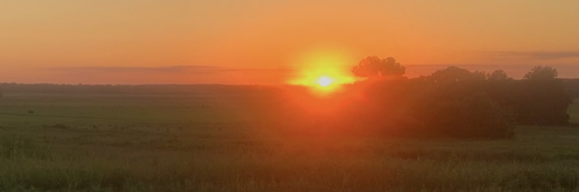 jaylan_tate's profile banner image