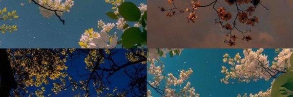 Kdotgeorgette Profile Banner