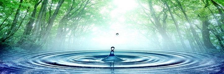 camorganwrites's profile banner image