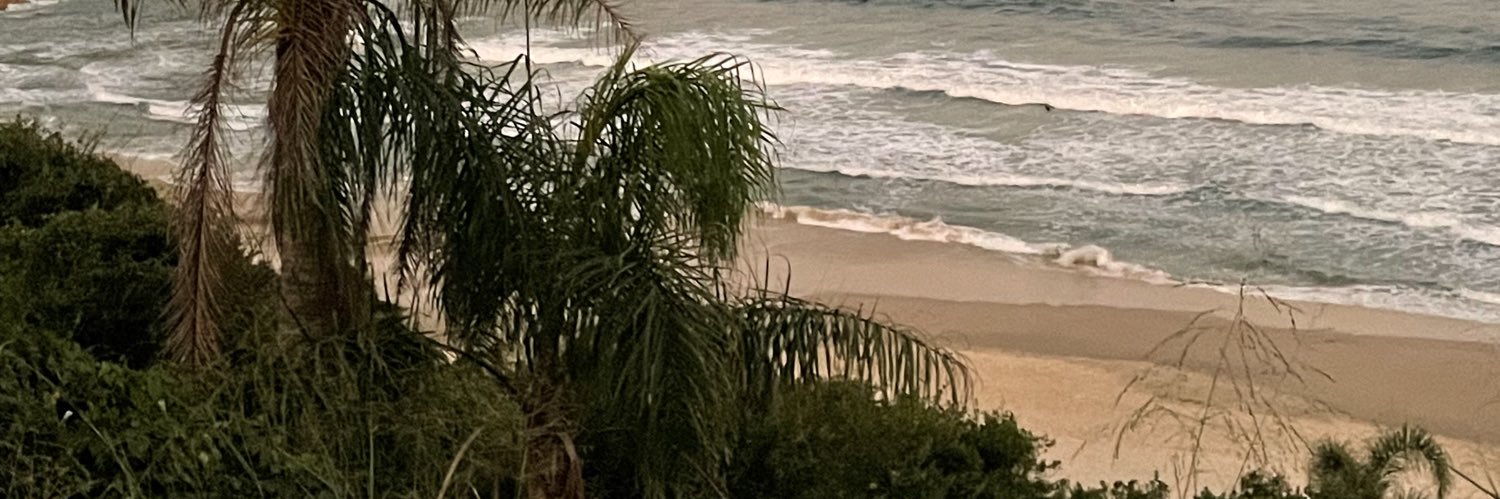 LuniLava's profile banner image