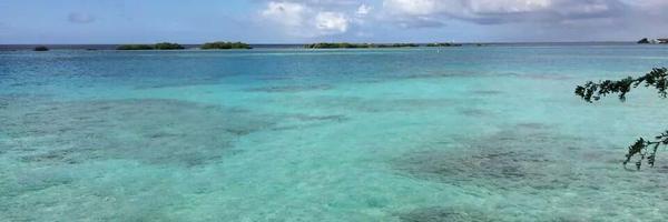 roki428 Profile Banner