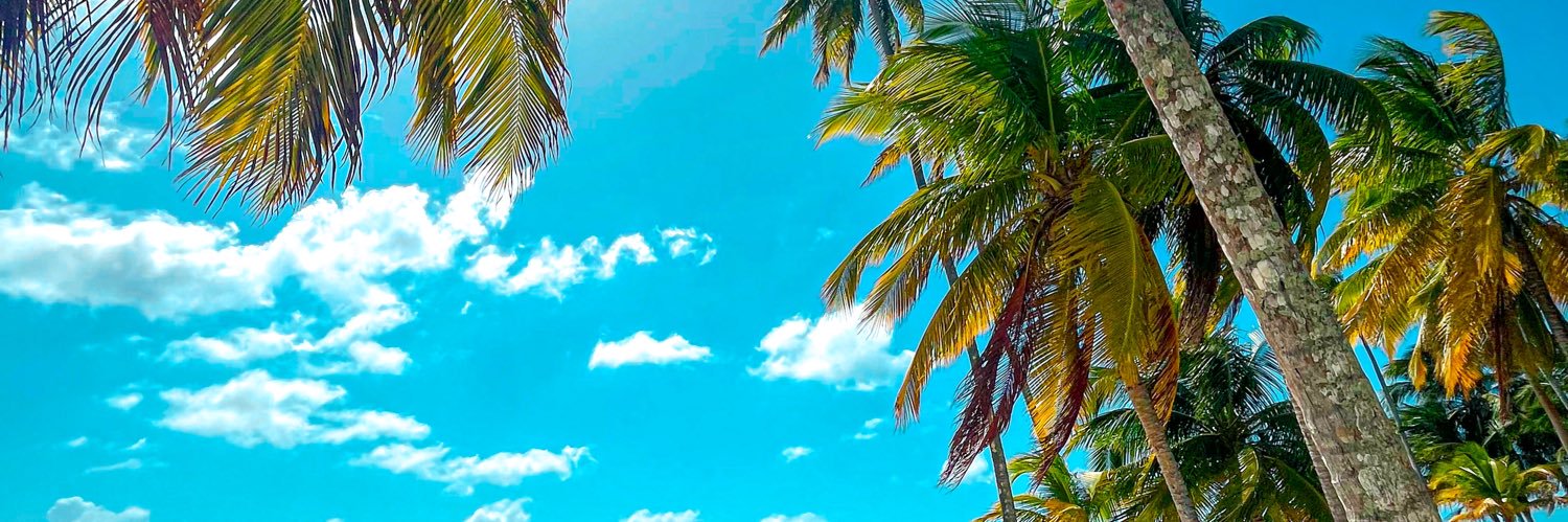 alexandraaLP's profile banner image