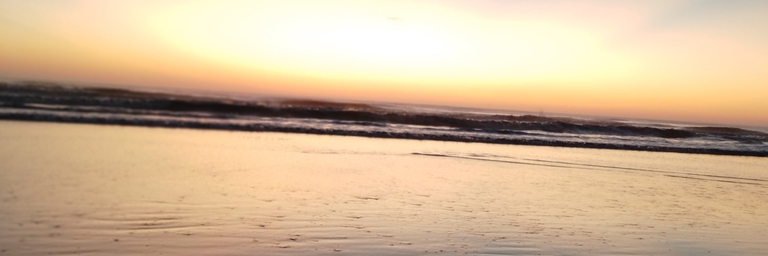 SArias304's profile banner image