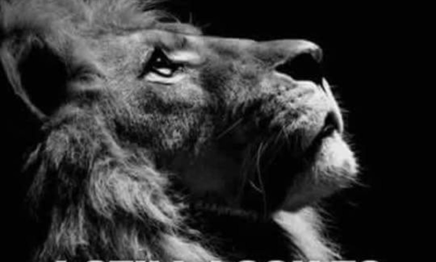 bporterdeuce's profile banner image