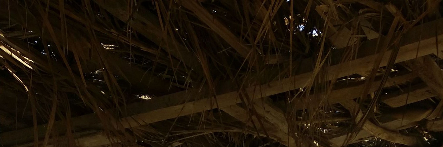 zarani33's profile banner image
