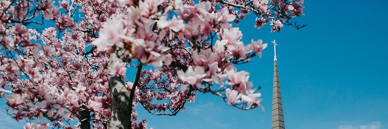 Spurgeon College banner