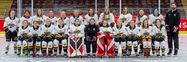 CardiffComets Profile Banner