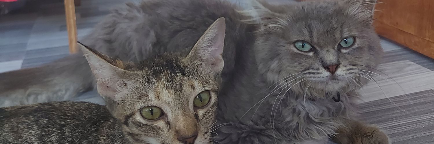 eme_trld's profile banner image