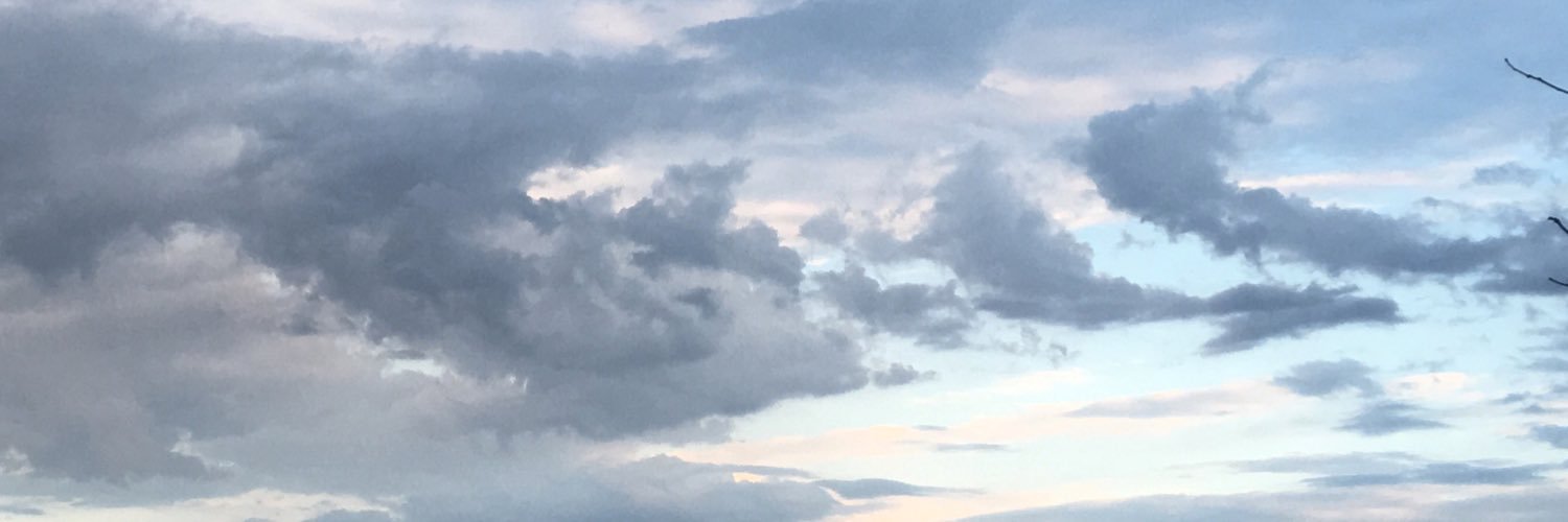 Sky Stanfield banner