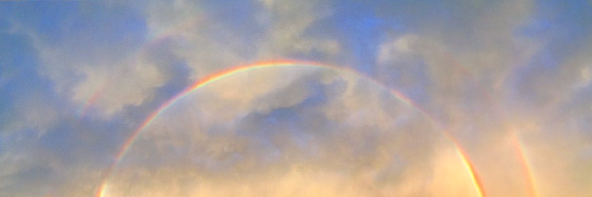 MFGreenberger's profile banner image