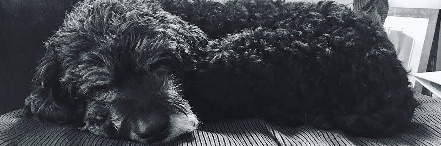 anmurray913's profile banner image