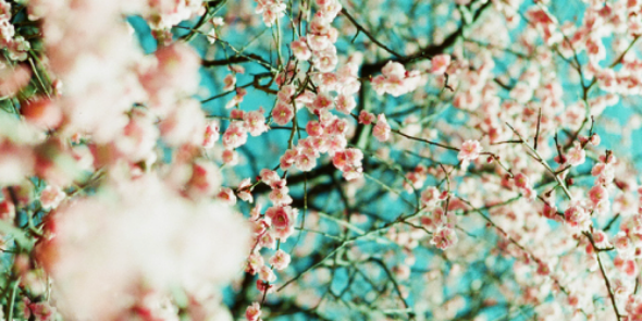xJelice's profile banner image