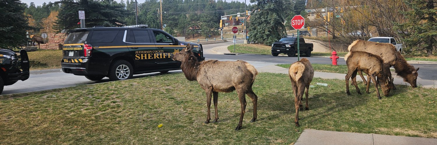Jeffco Sheriff banner