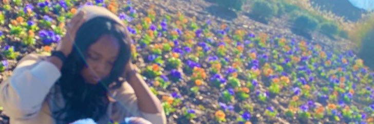 tayebae14's profile banner image