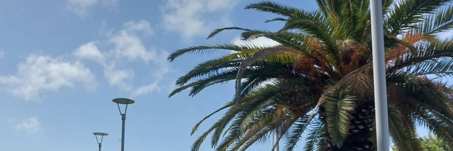 |Dim| 🇬🇷 For my friend Nika🕊 banner