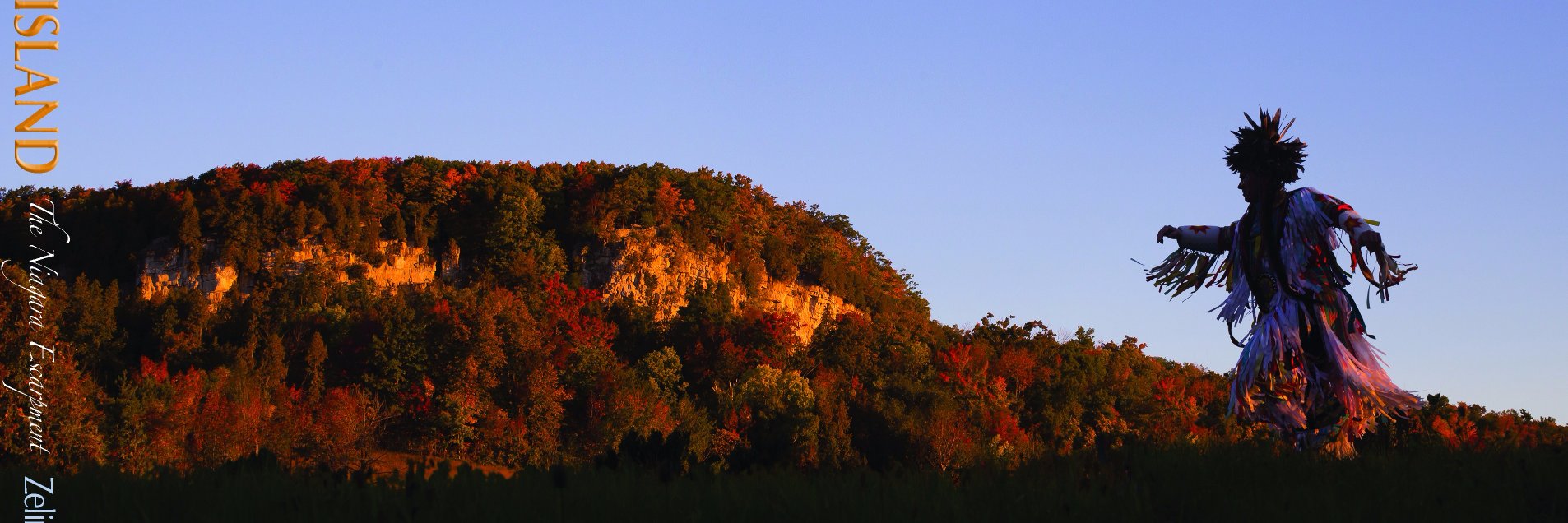 Mark Zelinski banner