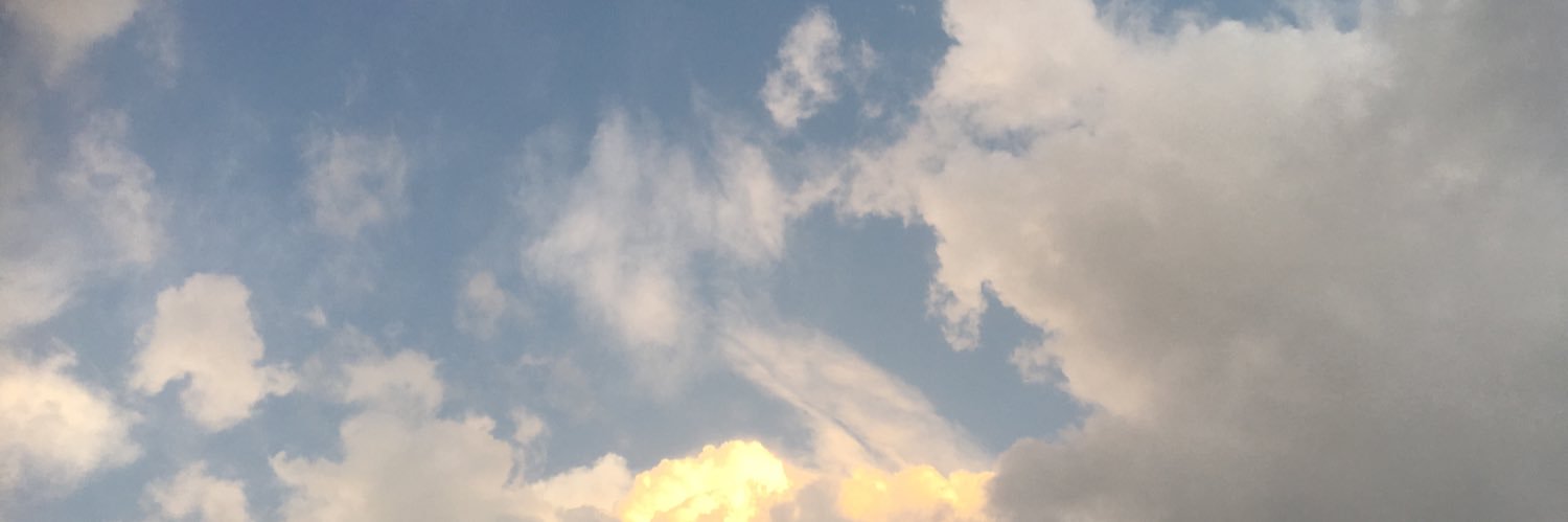 snowait's profile banner image