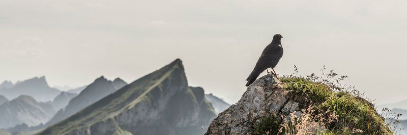 andy9758012's profile banner image