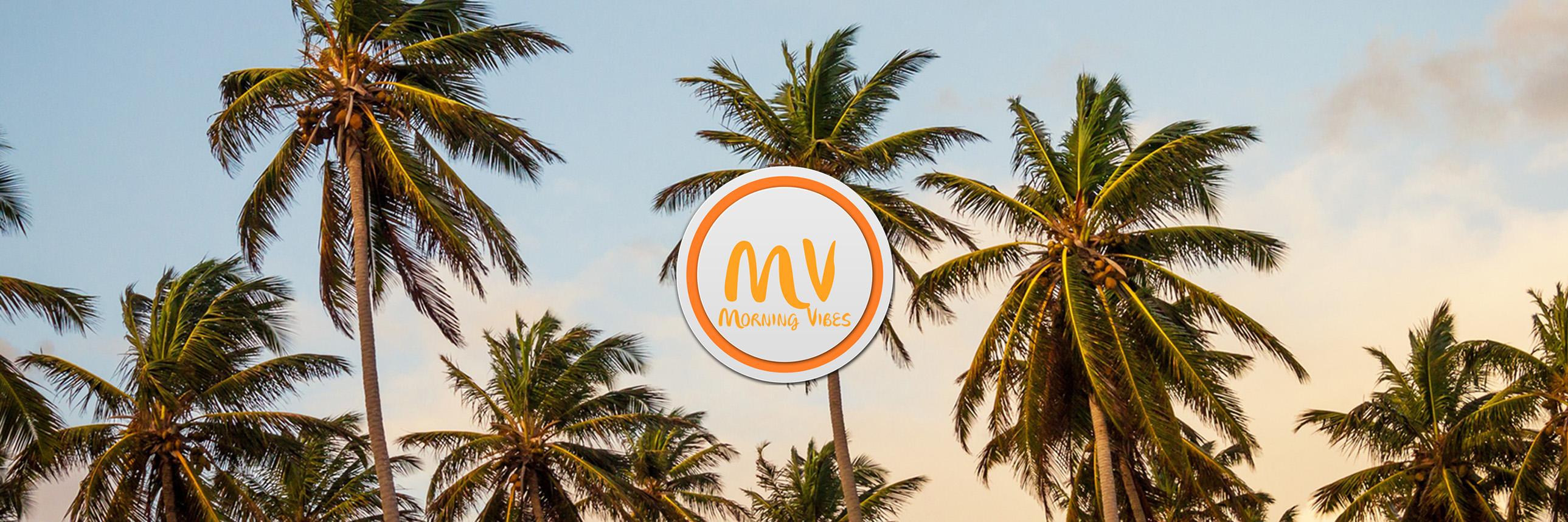 Morning Vibes (@morningvibess) / Posts / X