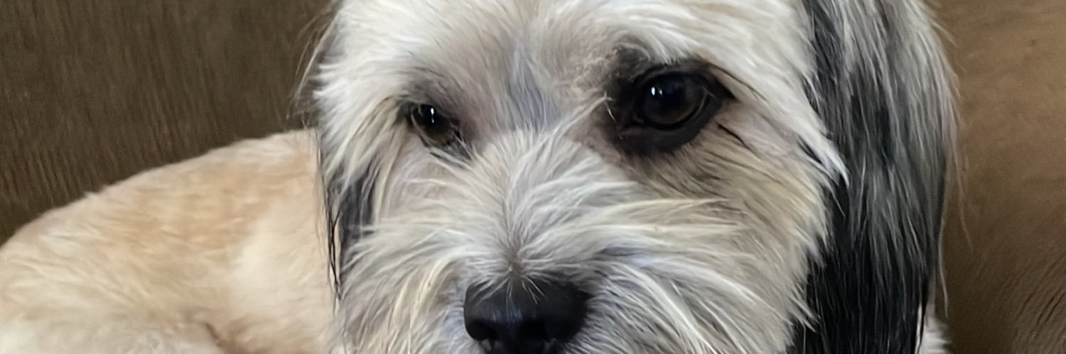 giujuh10's profile banner image