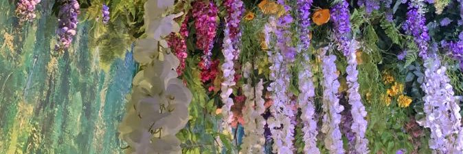 AnnaGasheva's profile banner image