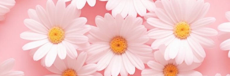 ahoycapnkim's profile banner image