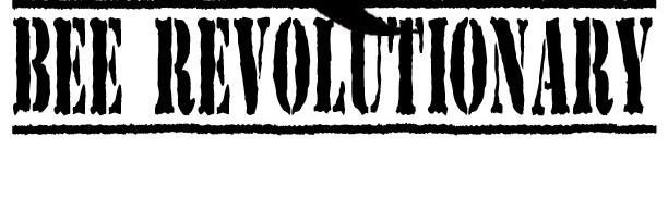 beerevolutional's profile banner image