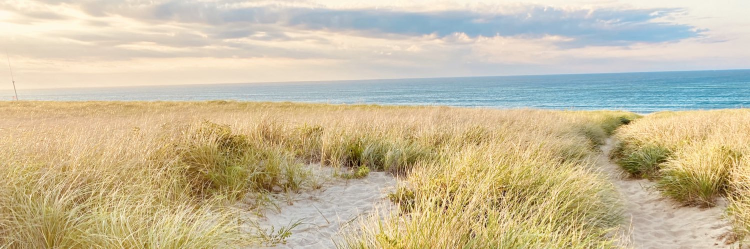 Christina Polaski banner