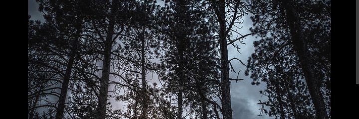 Vickersjoel28's profile banner image