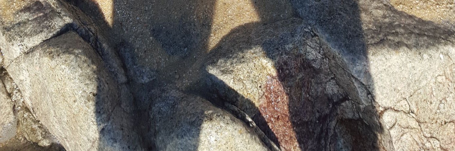 piscoakarol's profile banner image