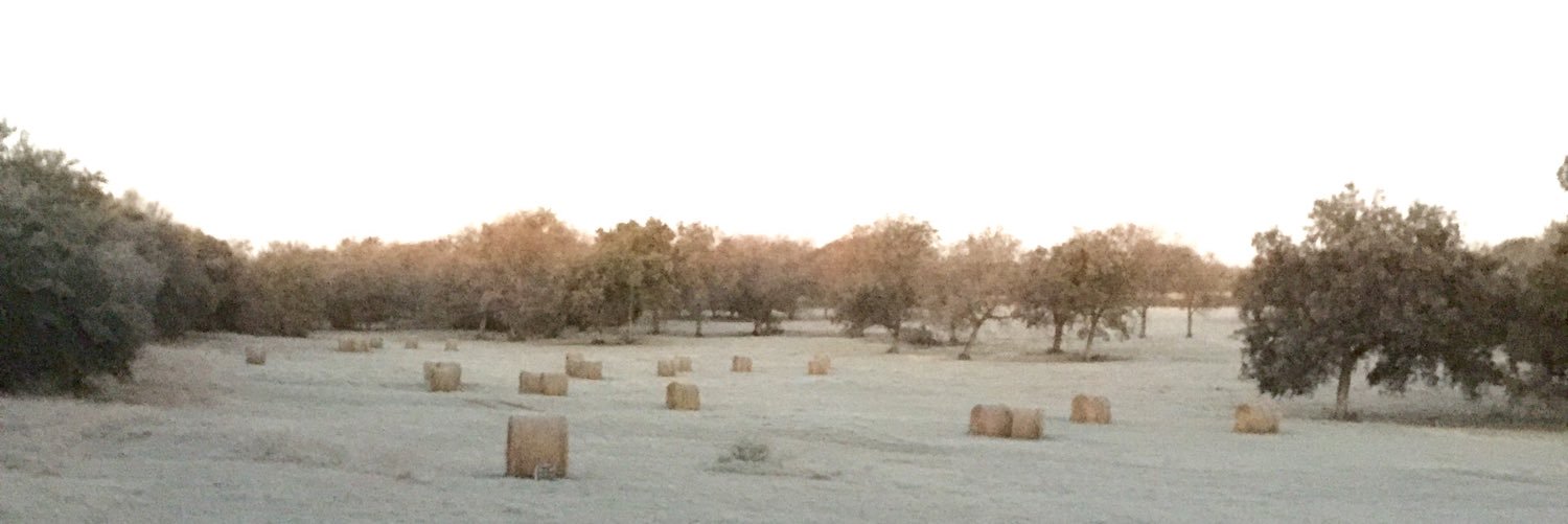 RustonHarris's profile banner image