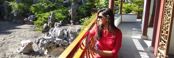 viddivj Profile Banner