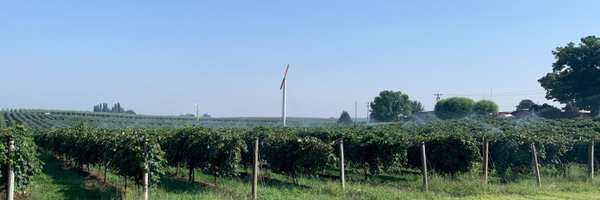 PNWAgNetwork Profile Banner