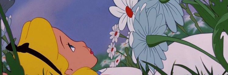morganrfowler's profile banner image