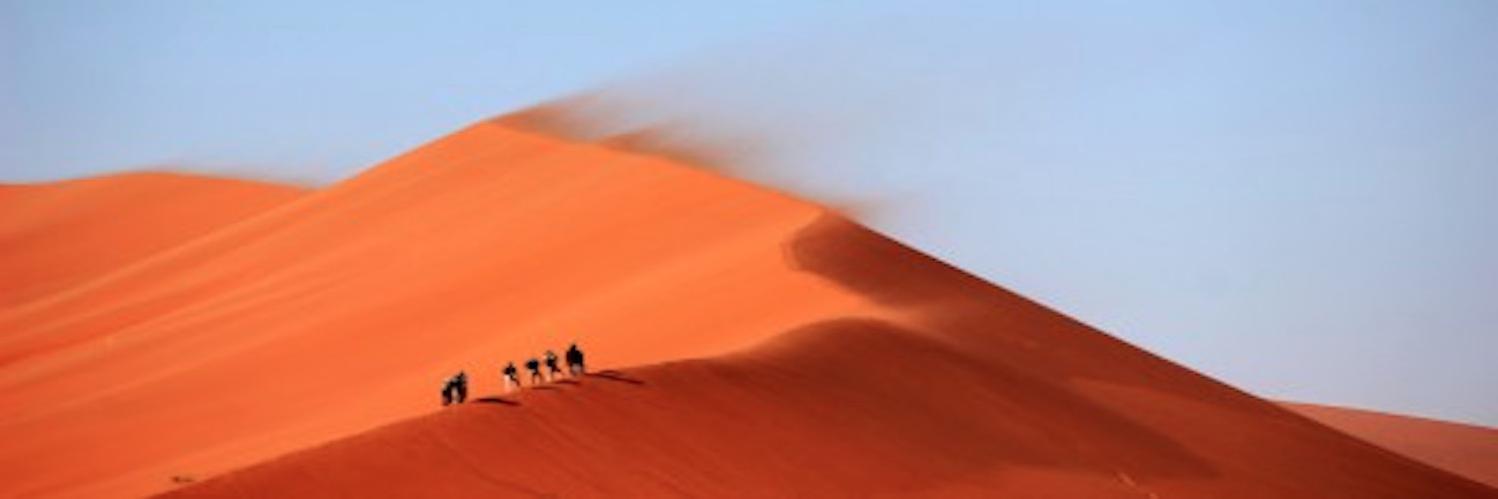 MentoringLife's profile banner image