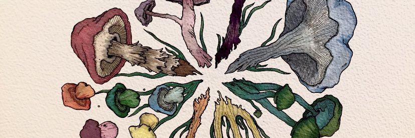 zoeeeallisonnn's profile banner image