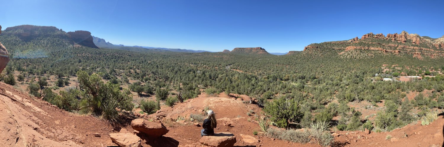 Lauren Brownlow banner