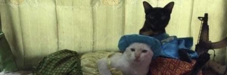 emma_is_babe's profile banner image