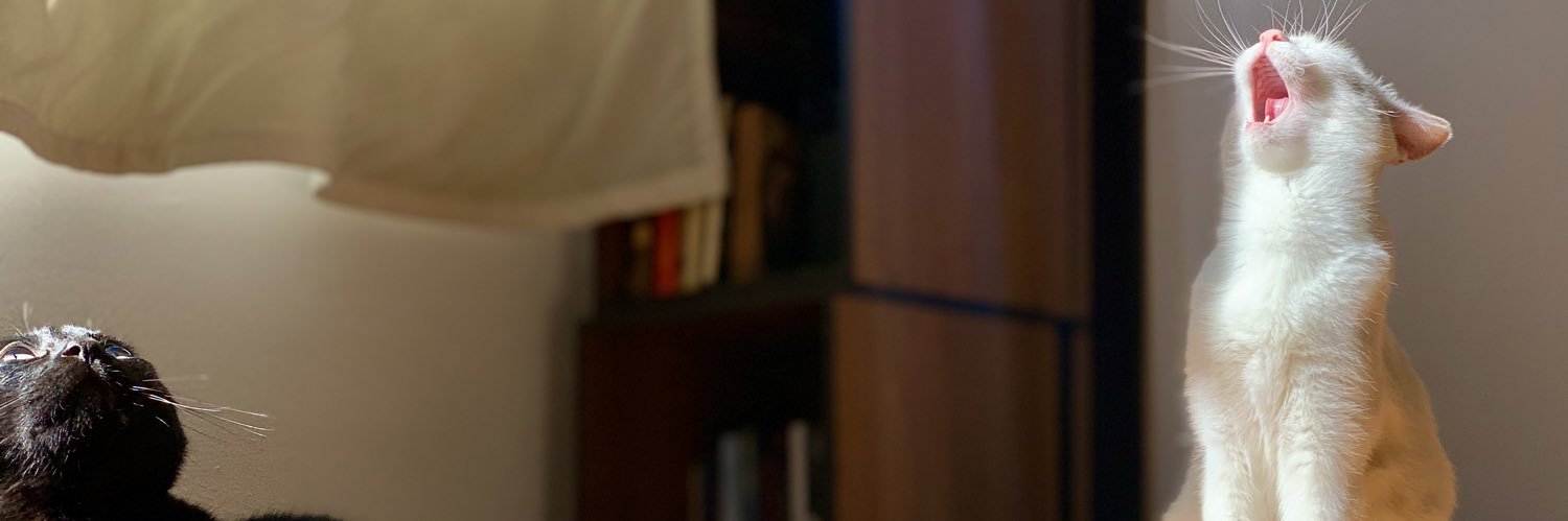 Digameana's profile banner image