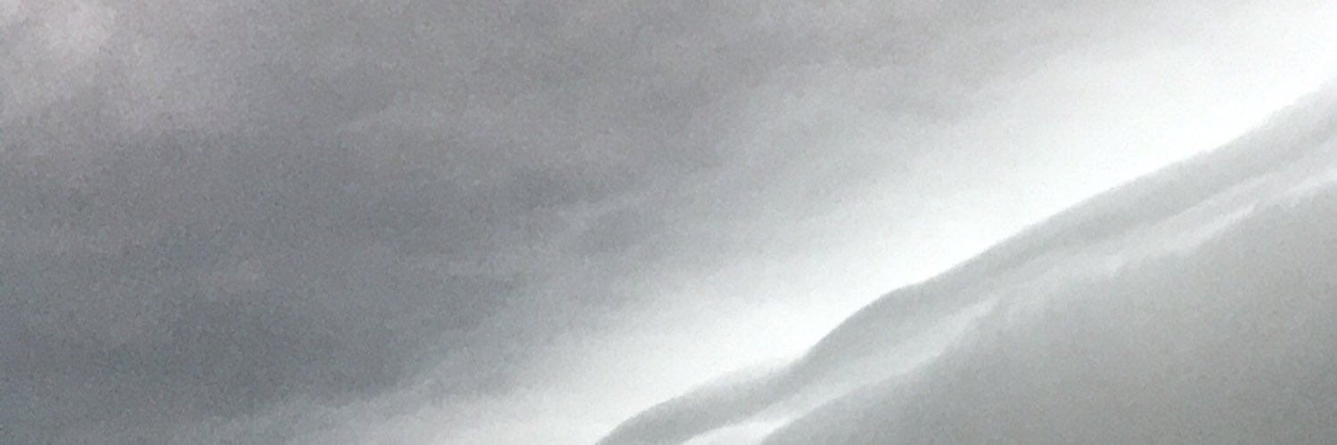 squirrelic's profile banner image