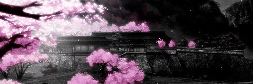 SweetPriih's profile banner image