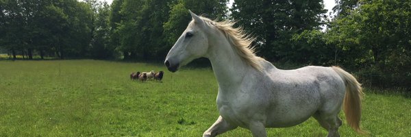 GerardRass Profile Banner